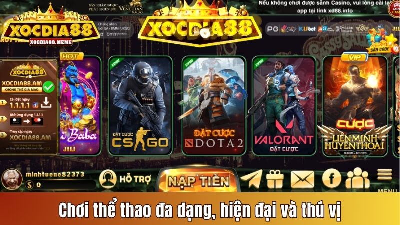 Chơi thể thao đa dạng, hiện đại và thú vị