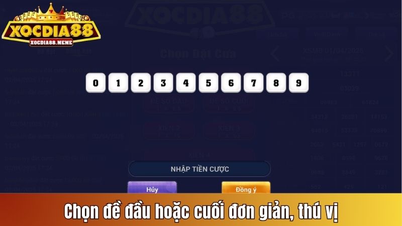 Chọn đề đầu hoặc cuối đơn giản, thú vị