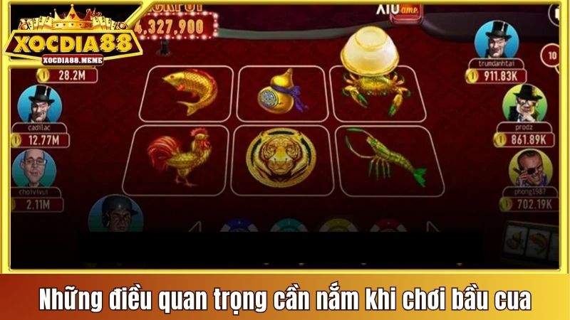 Những điều quan trọng cần nắm khi chơi Bầu Cua